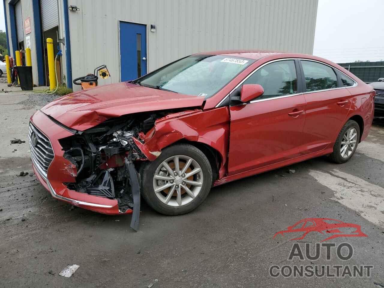 HYUNDAI SONATA 2019 - 5NPE24AFXKH795851