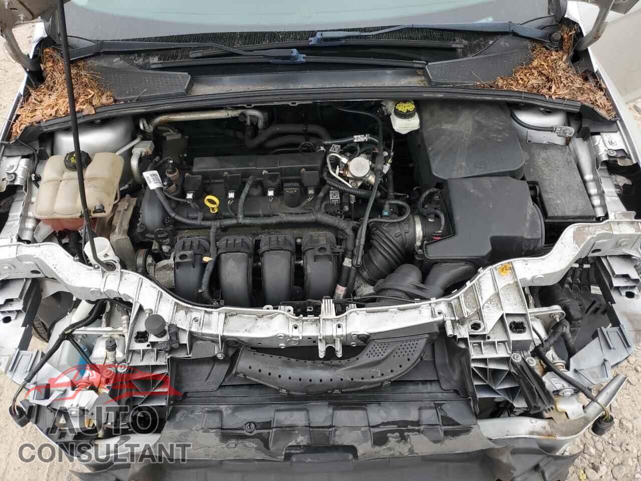 FORD FOCUS 2017 - 1FADP3F26HL218161