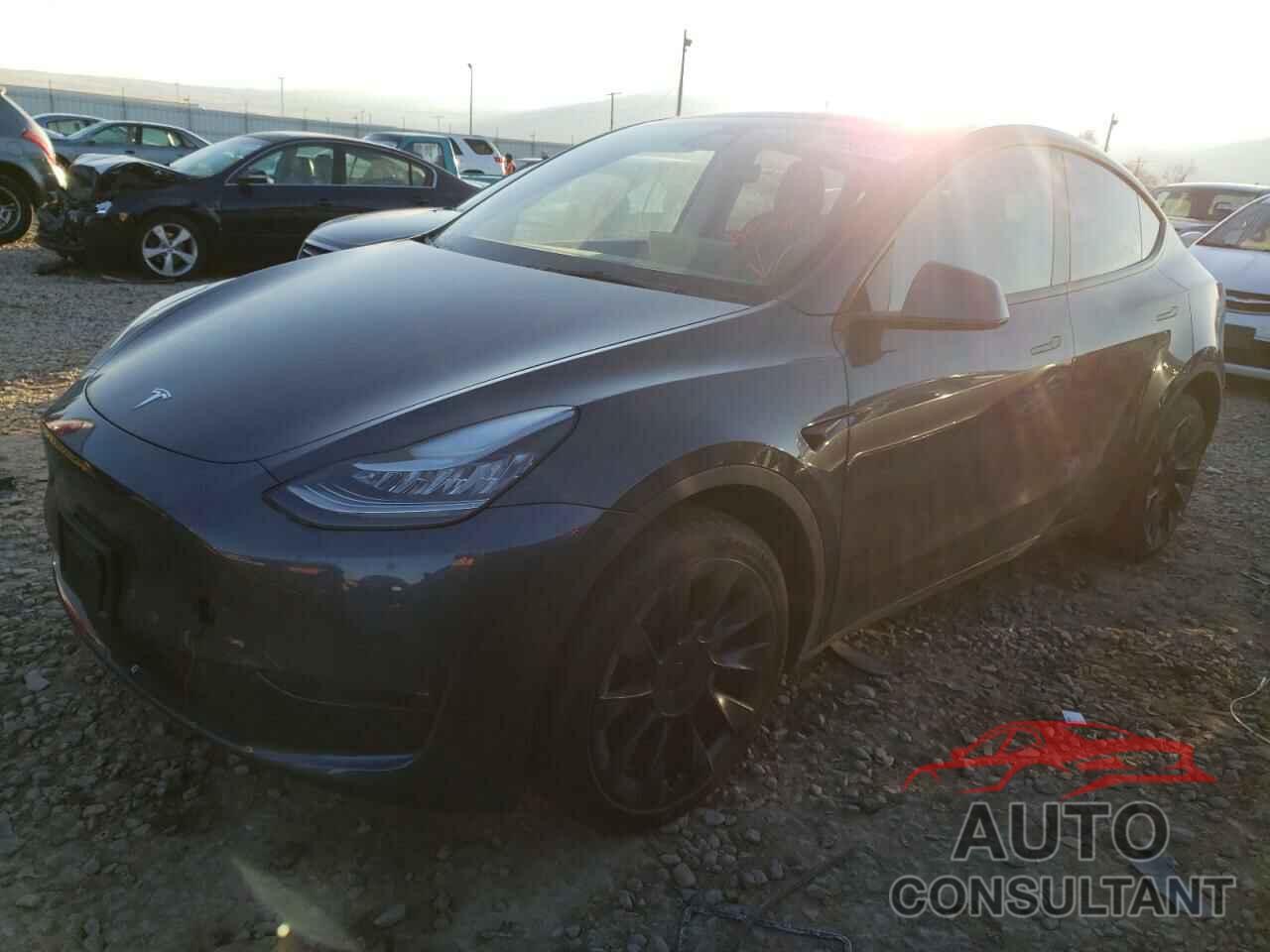 TESLA MODEL Y 2022 - 7SAYGDEE2NF386894