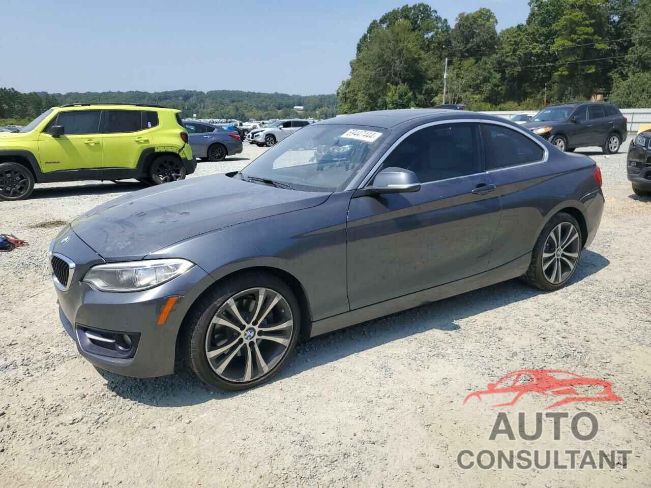 BMW 2 SERIES 2016 - WBA1F9C53GV742000