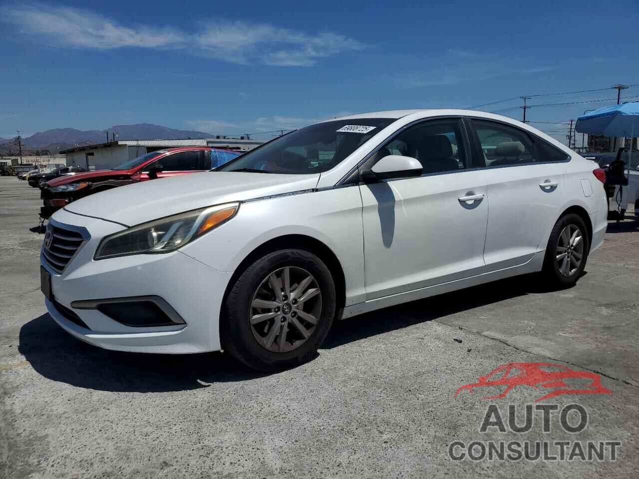 HYUNDAI SONATA 2017 - 5NPE24AF6HH523600