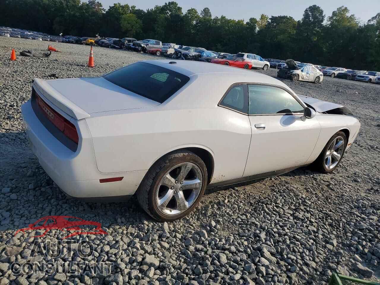 DODGE CHALLENGER 2013 - 2C3CDYAG3DH520114