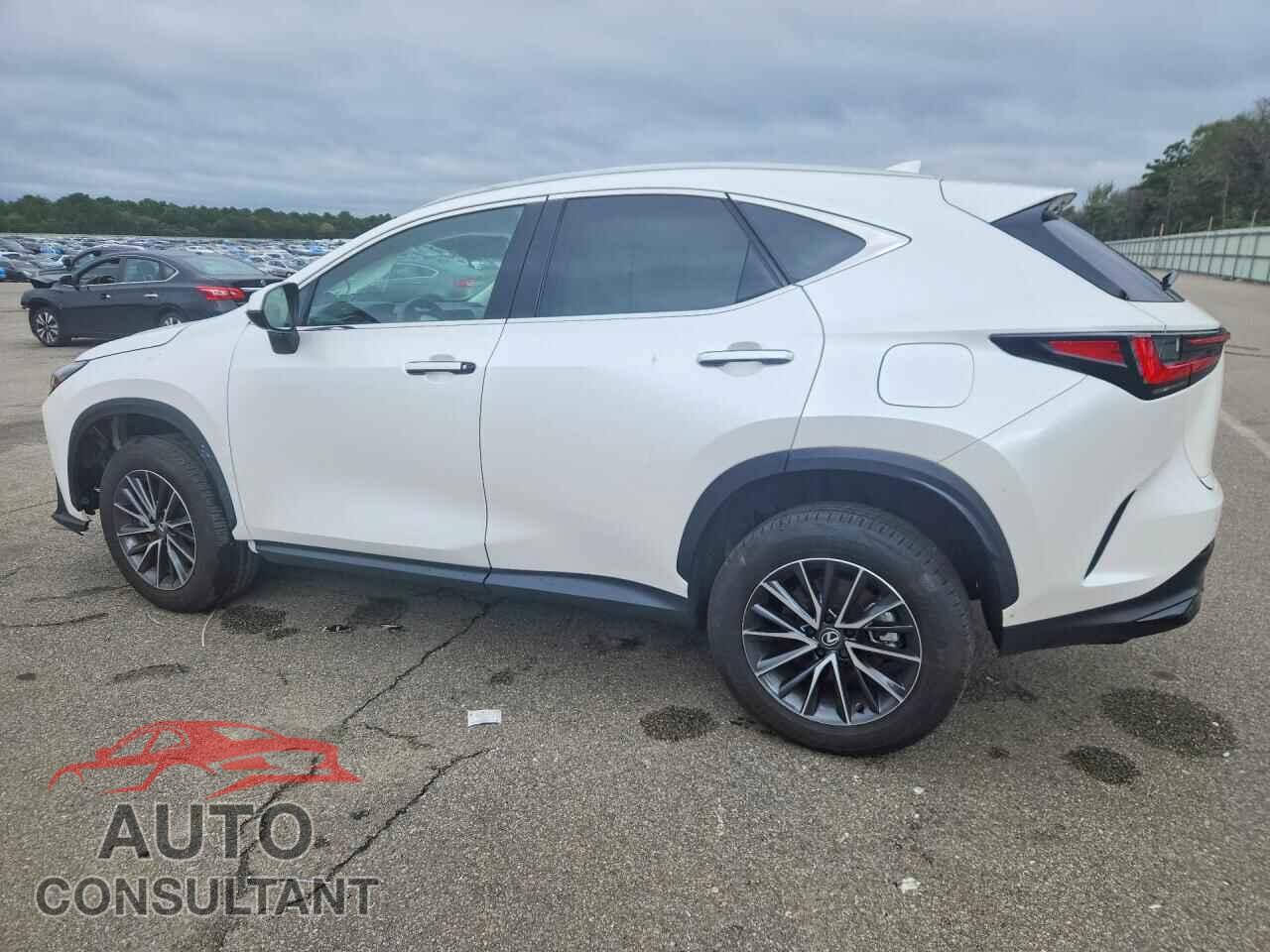 LEXUS NX 2025 - 2T2AGCEZ5SC083292