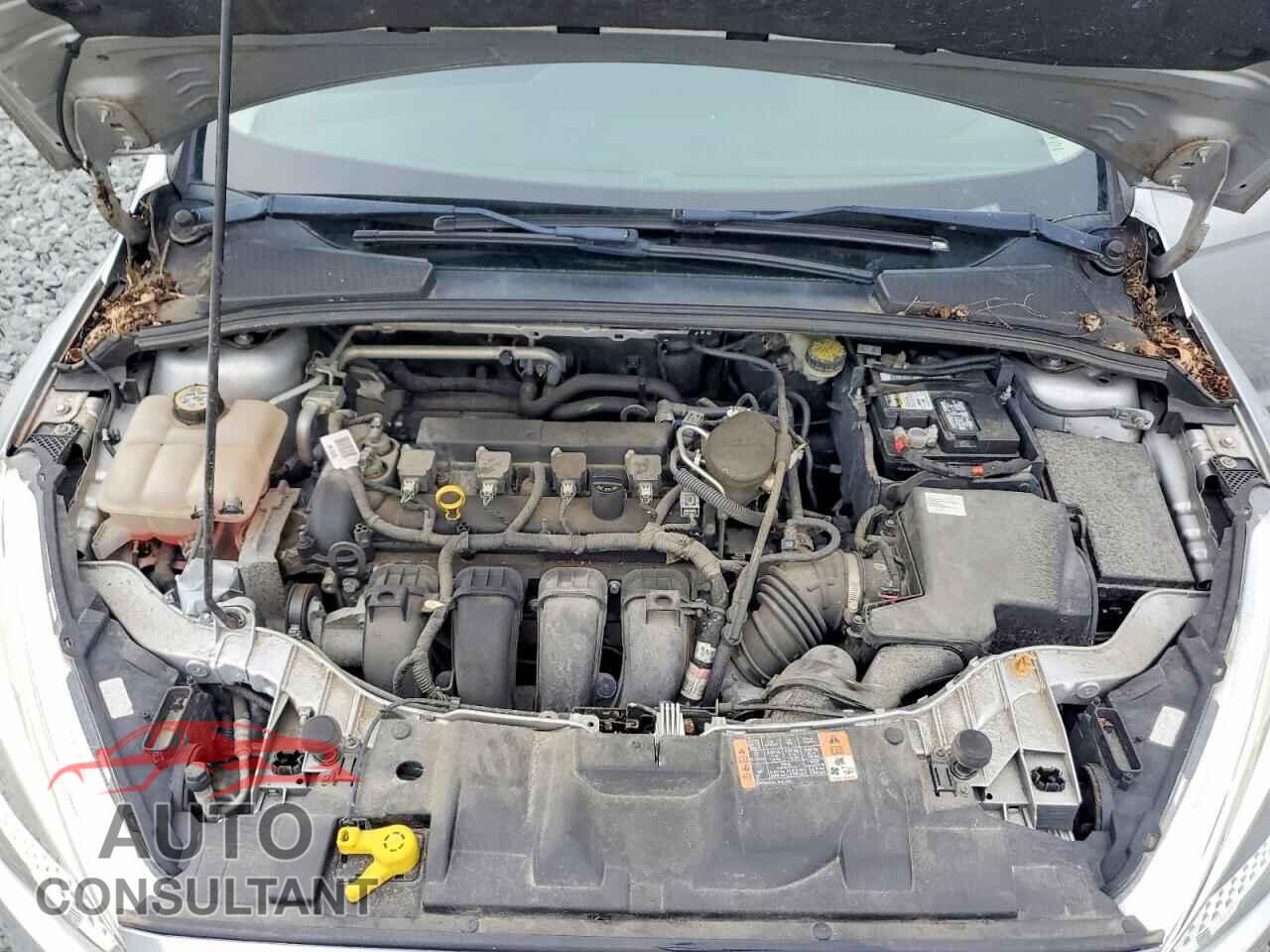 FORD FOCUS 2016 - 1FADP3F20GL293081