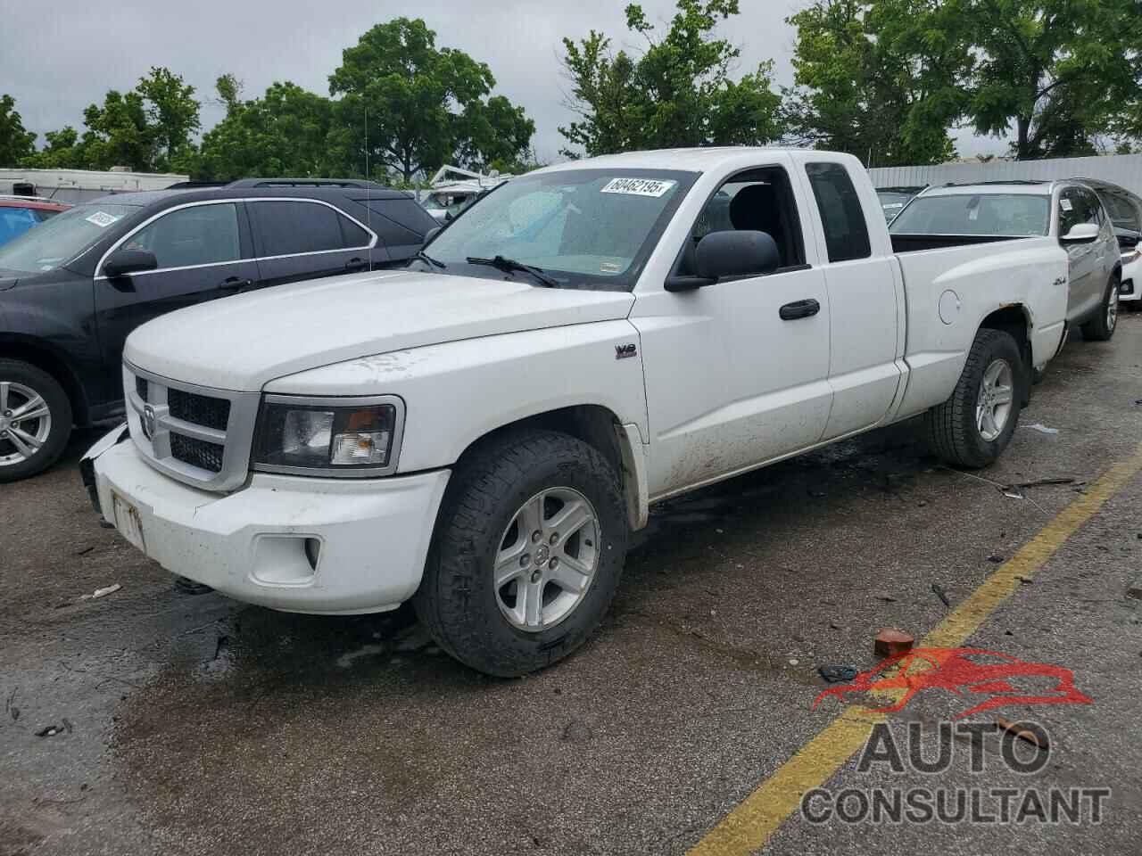 DODGE DAKOTA 2011 - 1D7RW3BP4BS573868