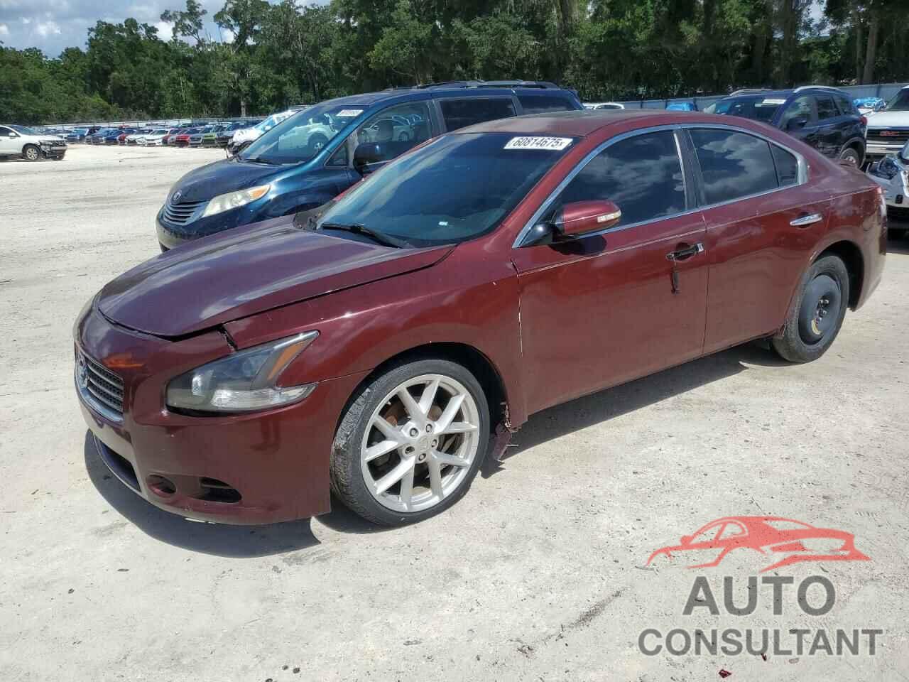 NISSAN MAXIMA 2009 - 1N4AA51EX9C814991