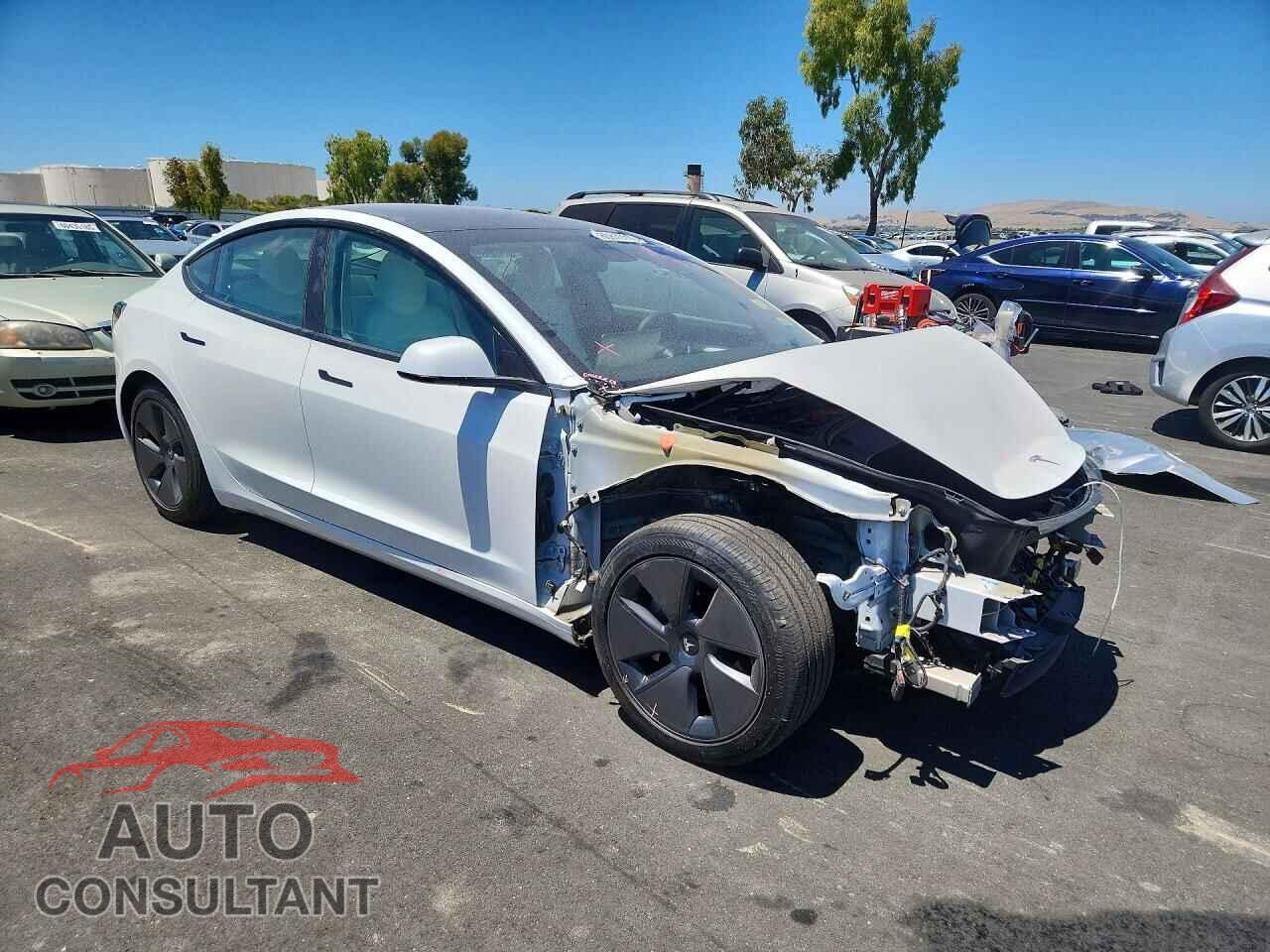 TESLA MODEL 3 2021 - 5YJ3E1EA2MF019016