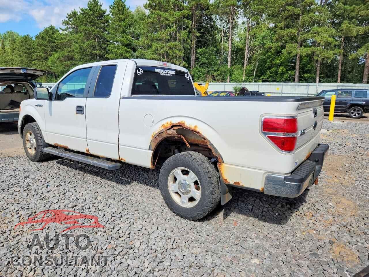 FORD F150 2009 - 1FTRX14879FA51367