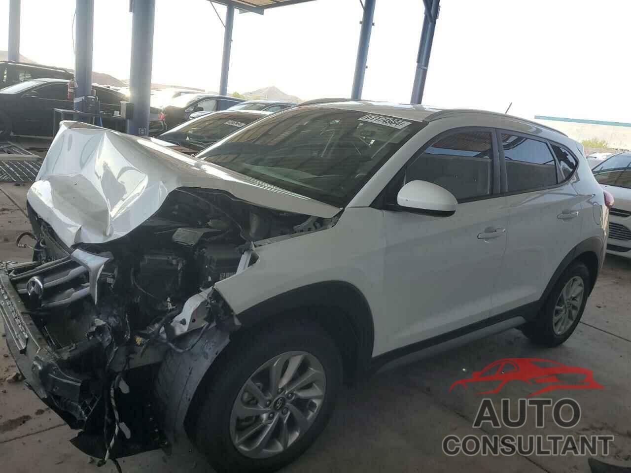 HYUNDAI TUCSON 2017 - KM8J3CA43HU264067