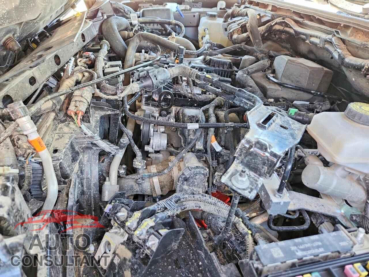 FORD RANGER 2024 - 1FTER4PH3RLE69237