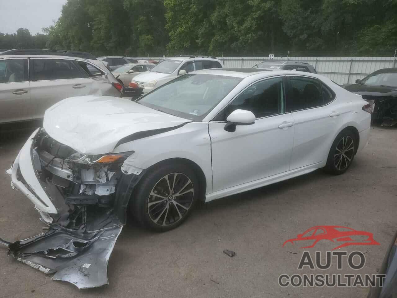 TOYOTA CAMRY 2019 - 4T1B11HK0KU745646