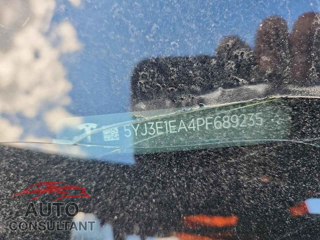 TESLA MODEL 3 2023 - 5YJ3E1EA4PF689235