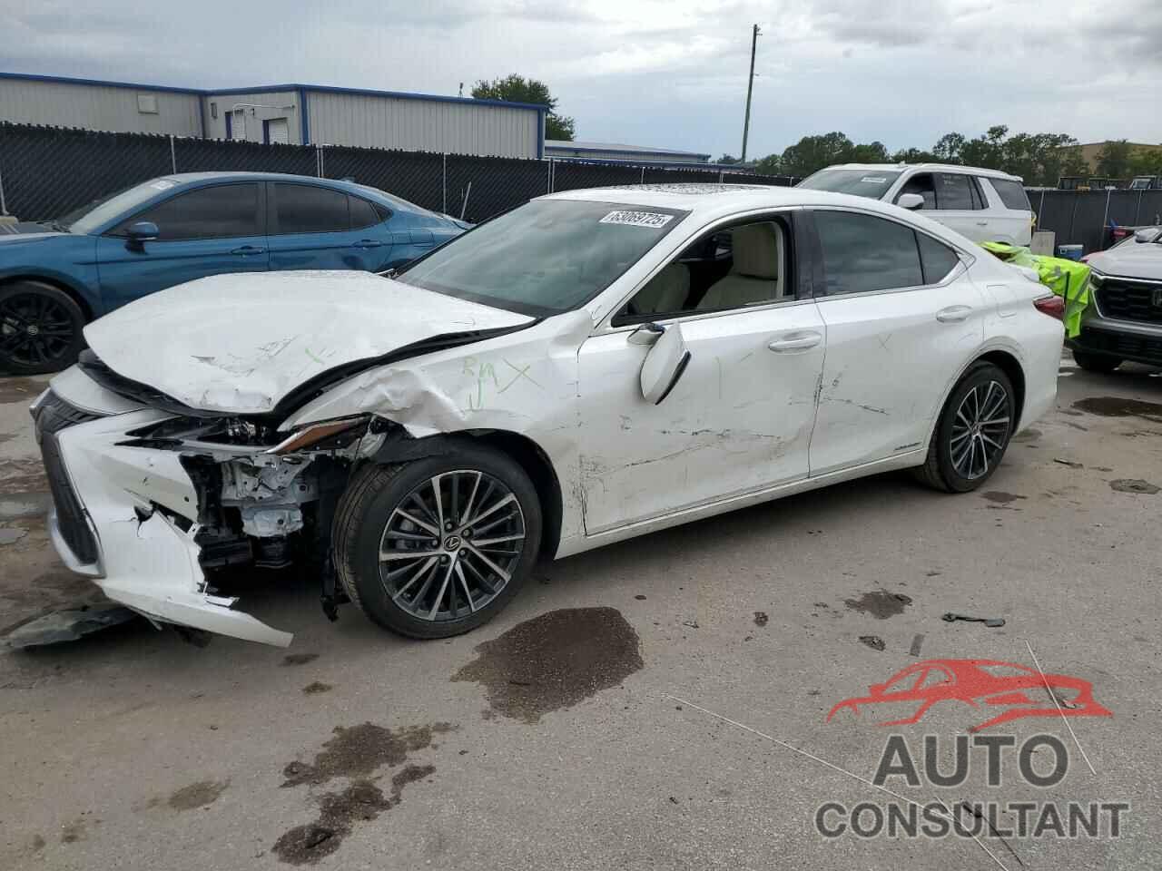 LEXUS ES300 2022 - 58ADA1C14NU014495