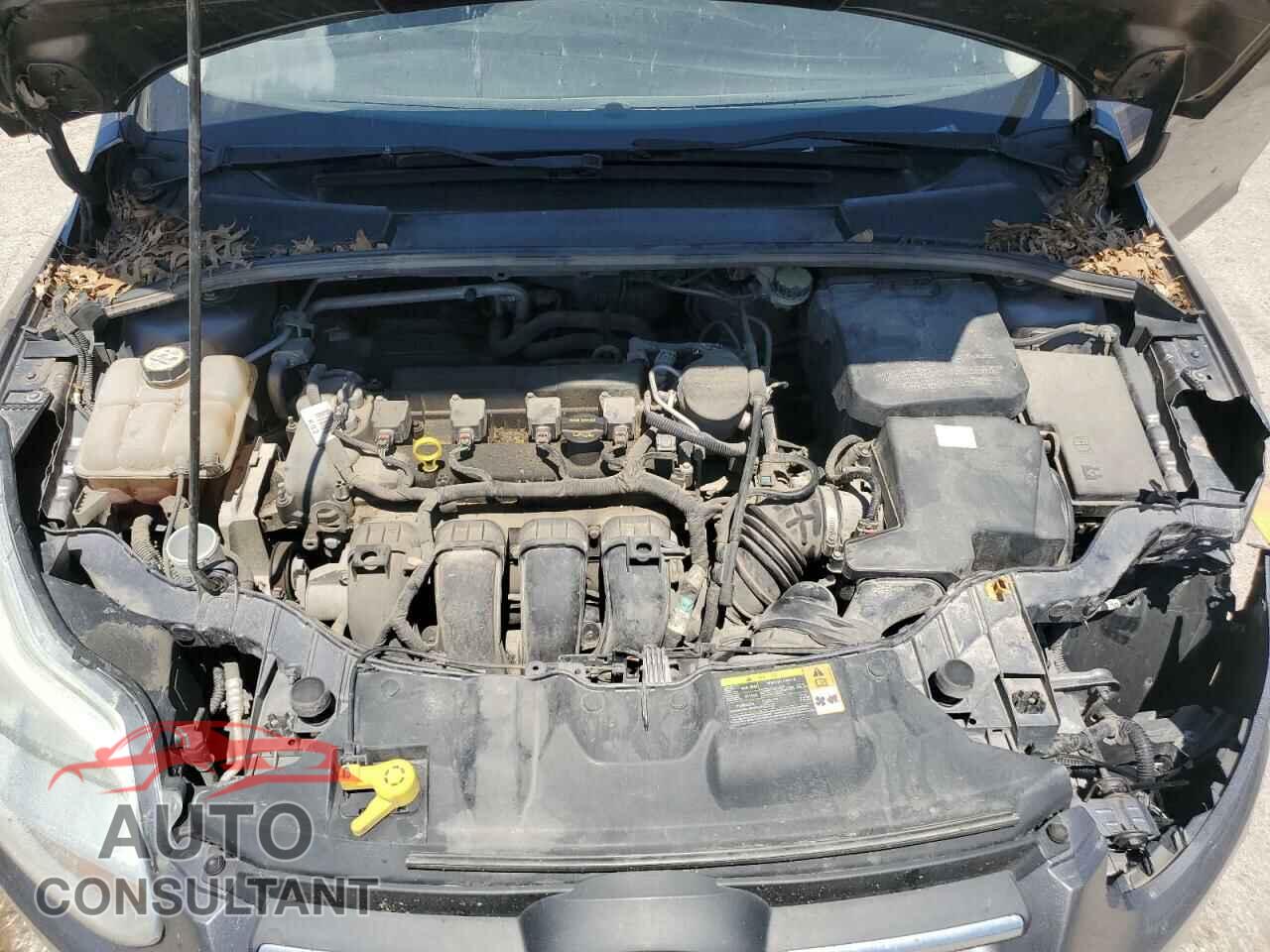 FORD FOCUS 2013 - 1FADP3F20DL169999