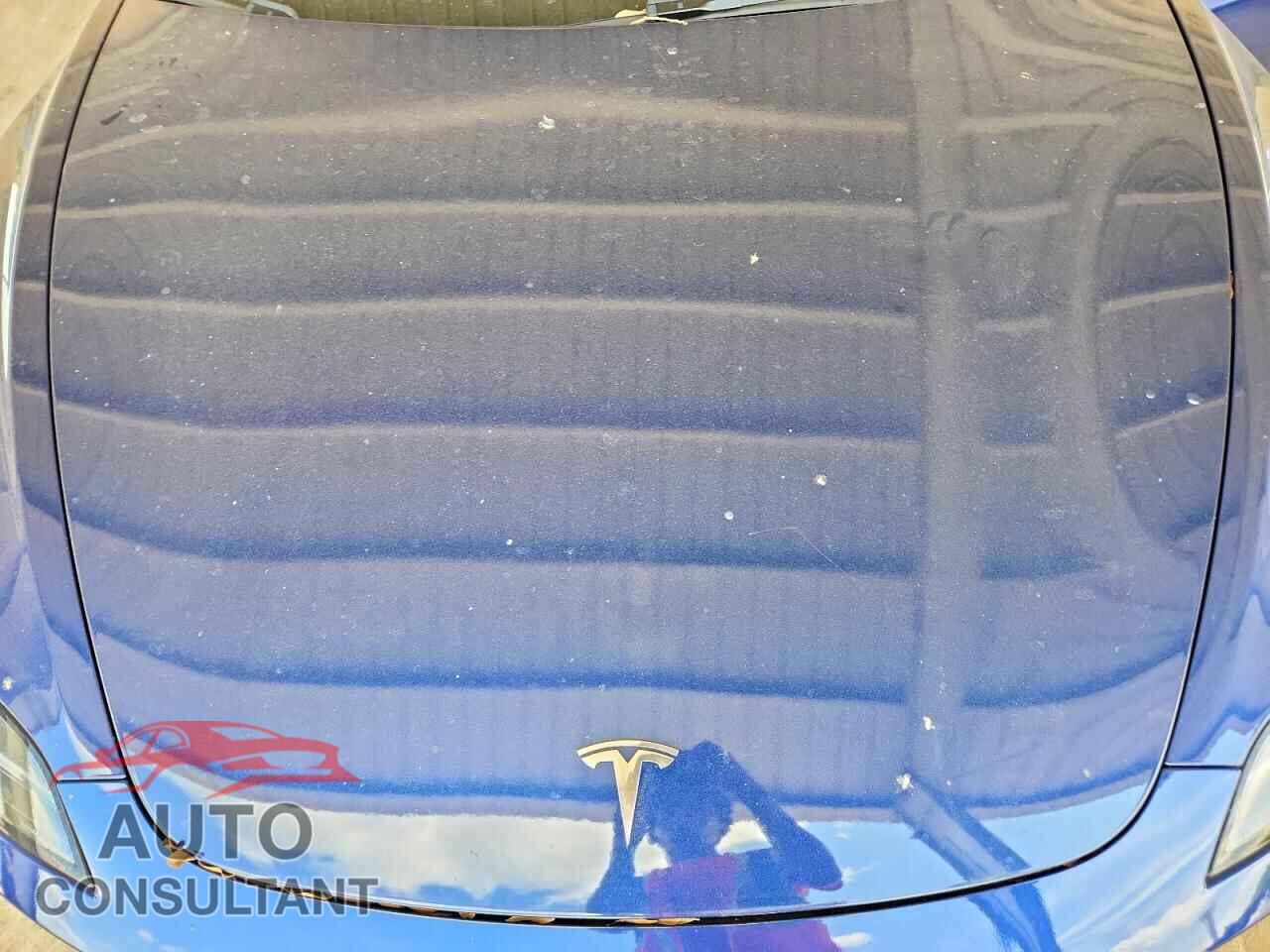TESLA MODEL 3 2024 - 5YJ3E1EA2RF717648