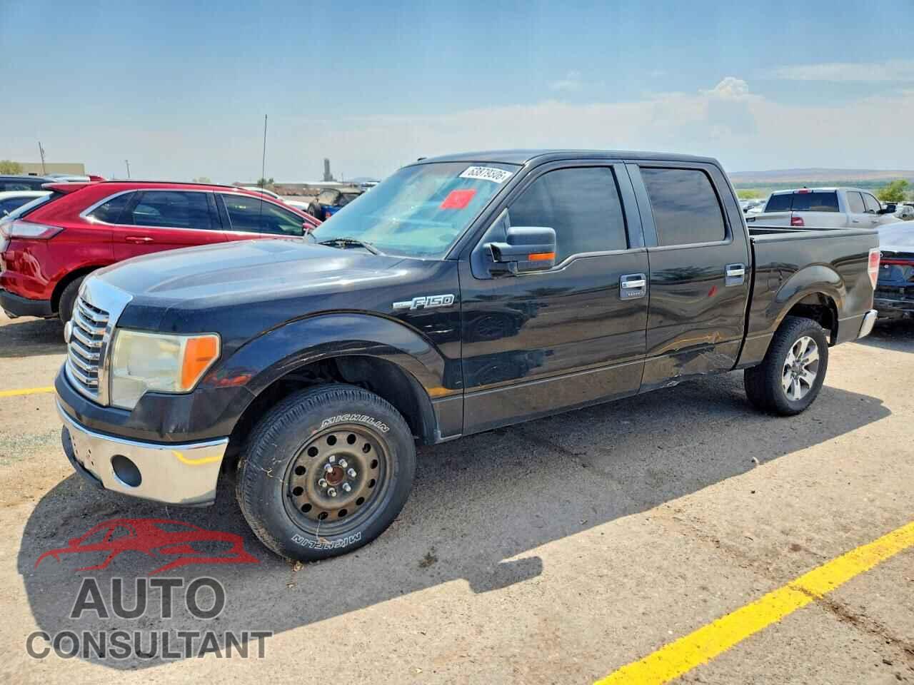 FORD F150 2010 - 1FTEW1C89AFA08253