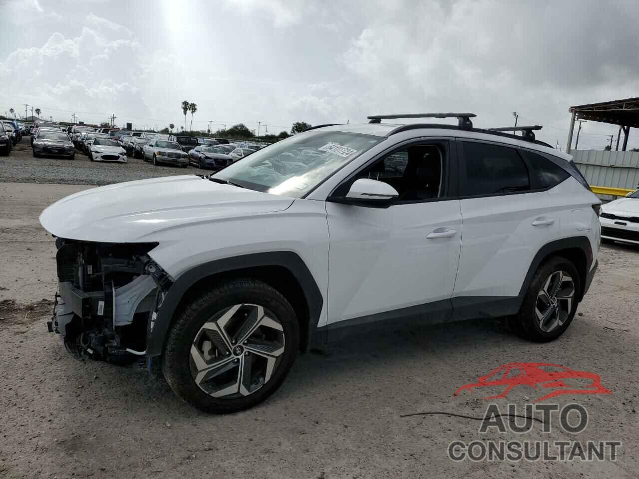 HYUNDAI TUCSON 2023 - 5NMJFCAE3PH209743