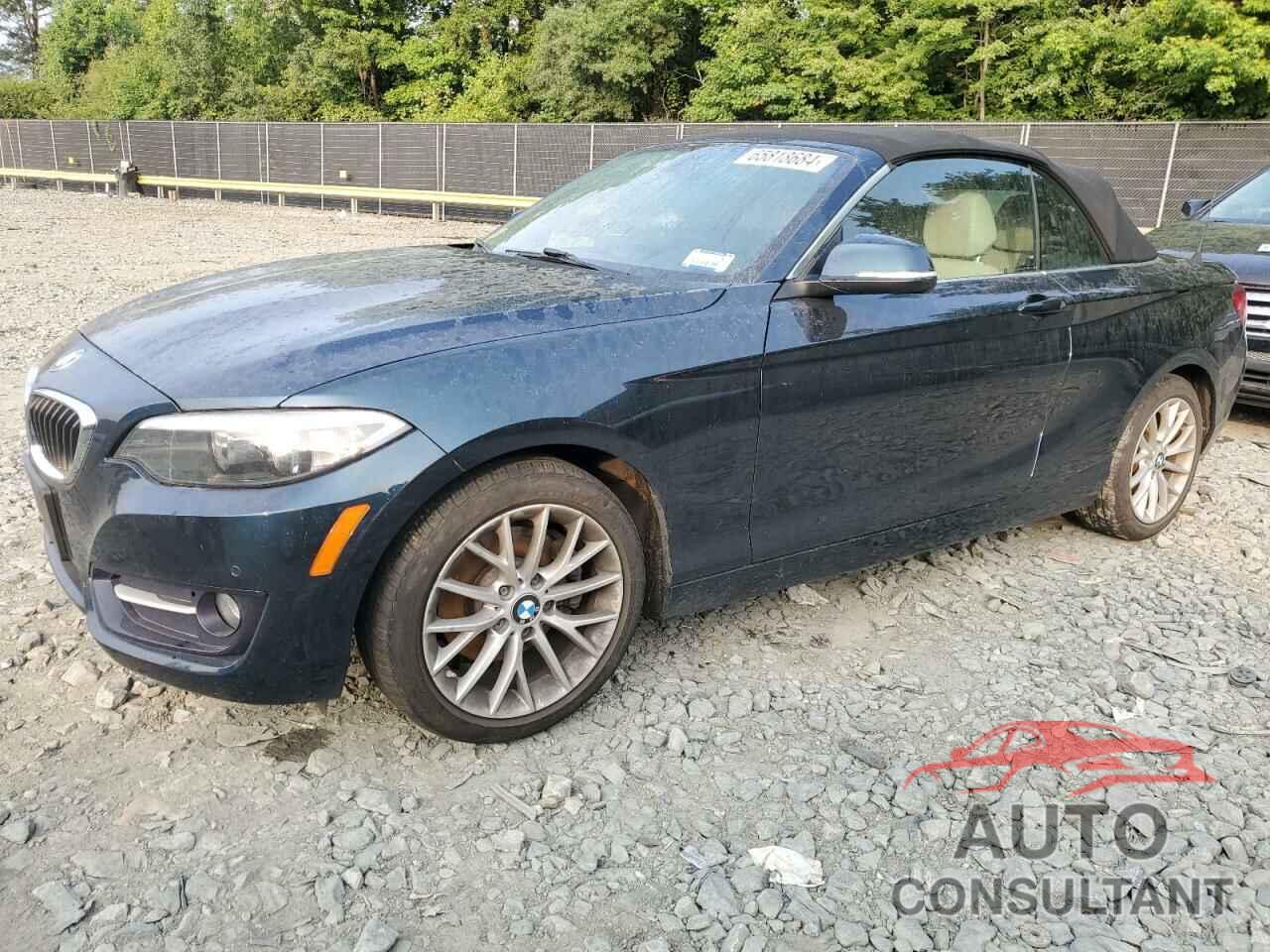 BMW 2 SERIES 2016 - WBA1L9C53GV325226