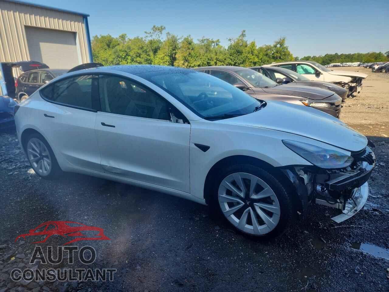 TESLA MODEL 3 2022 - 5YJ3E1EA2NF368971