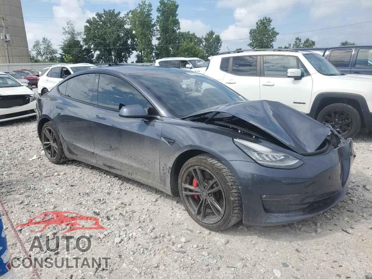 TESLA MODEL 3 2021 - 5YJ3E1EC8MF856256