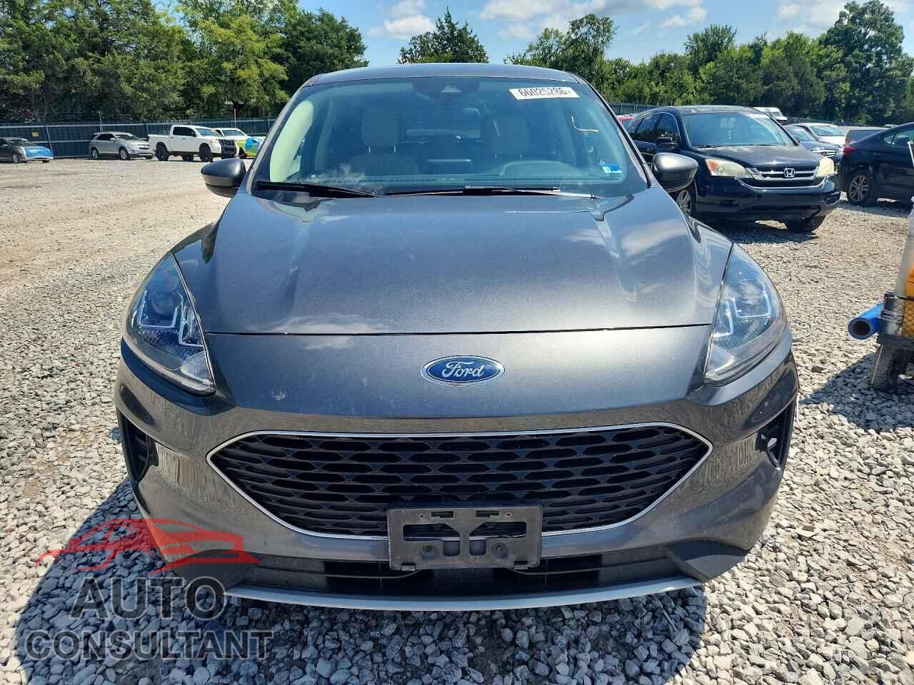 FORD ESCAPE 2020 - 1FMCU9G68LUA98980