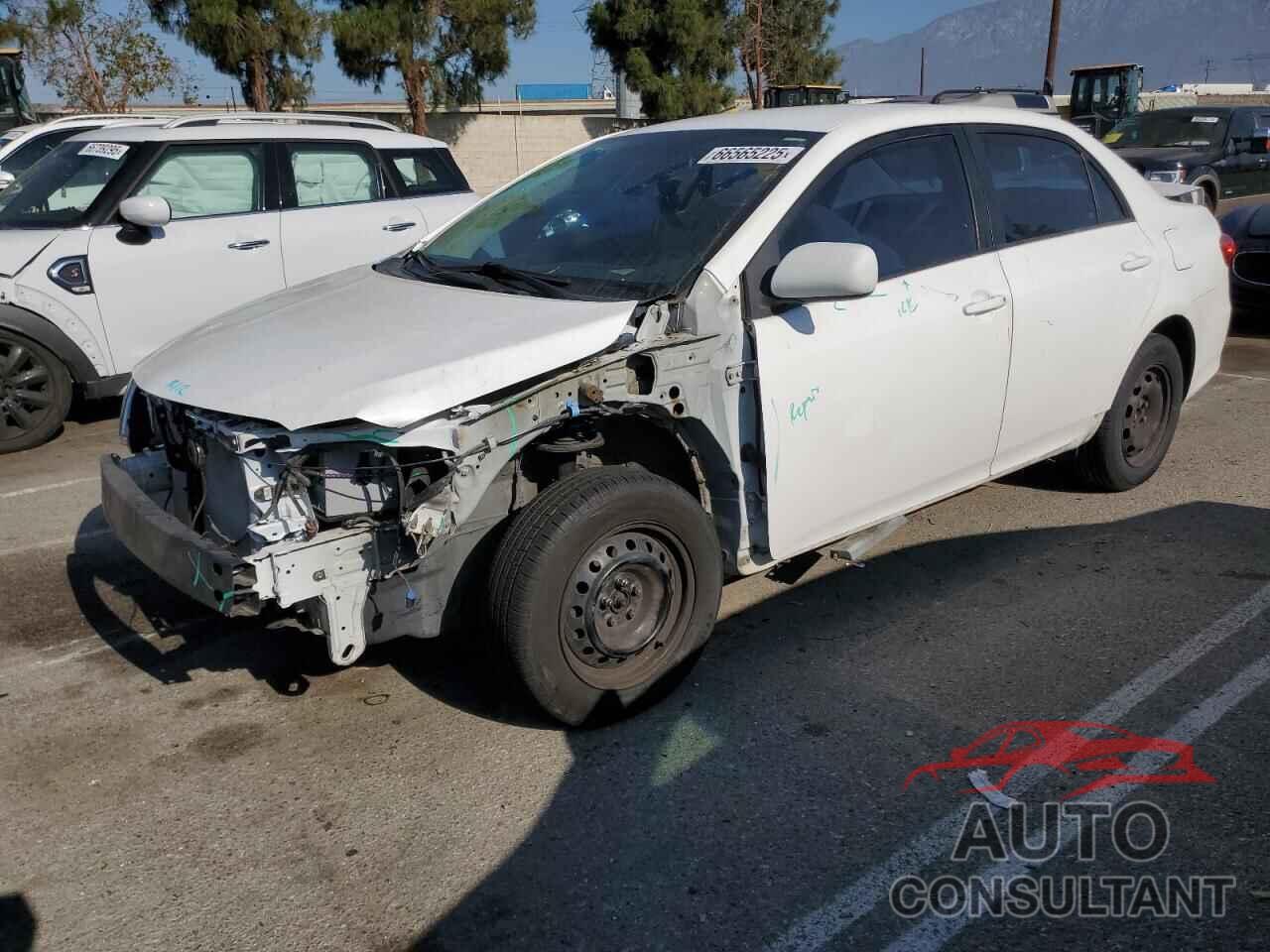 TOYOTA COROLLA 2011 - 2T1BU4EE2BC628398