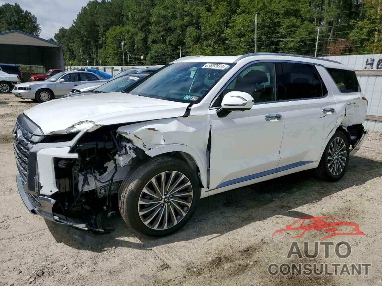 HYUNDAI PALISADE 2024 - KM8R7DGE5RU718009