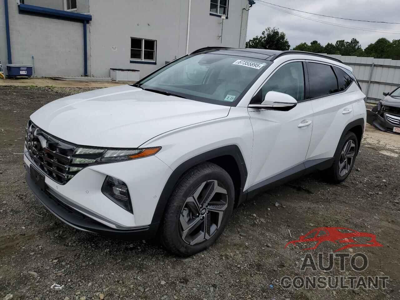 HYUNDAI TUCSON 2024 - 5NMJECDE4RH368806