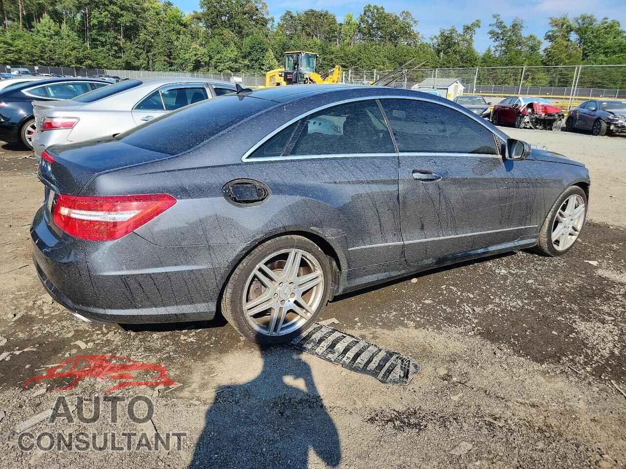 MERCEDES-BENZ E-CLASS 2010 - WDDKJ7CB2AF000405