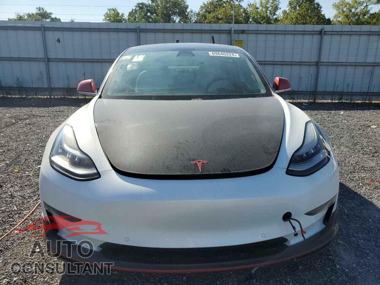 TESLA MODEL 3 2019 - 5YJ3E1EA1KF486442