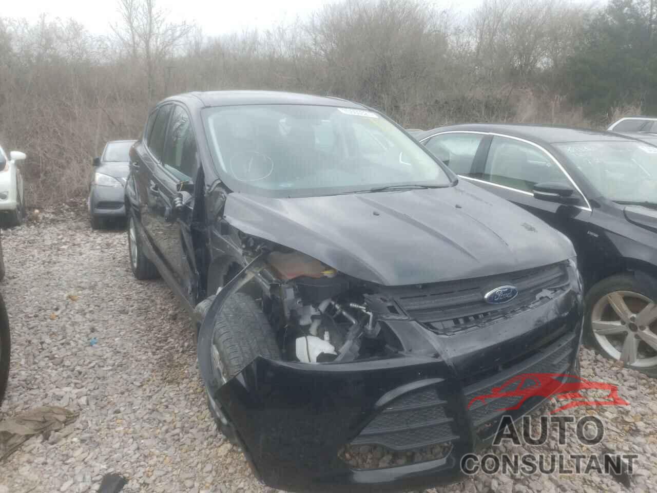 FORD ESCAPE 2016 - 1FMCU0F70GUA17840