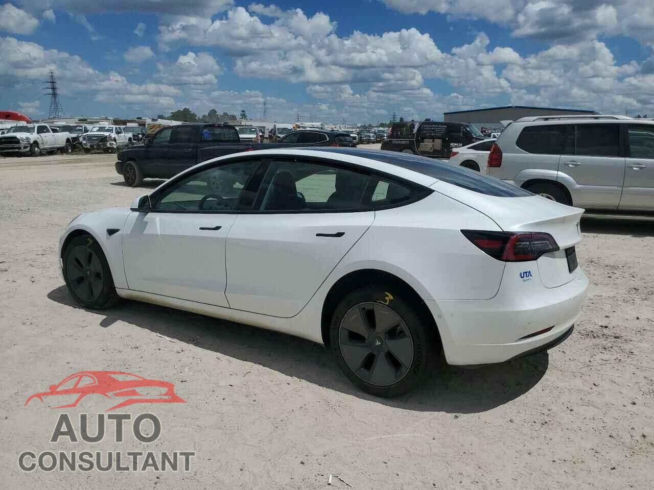 TESLA MODEL 3 2021 - 5YJ3E1EA1MF098131