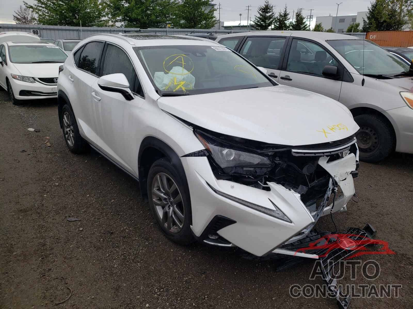 LEXUS NX 2020 - JTJGARDZ9L5016615