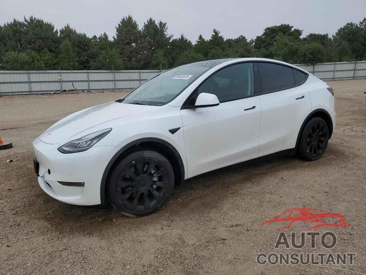 TESLA MODEL Y 2022 - 7SAYGDEE6NF387868