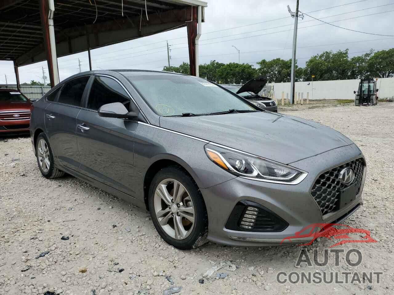 HYUNDAI SONATA 2019 - 5NPE34AF7KH750685