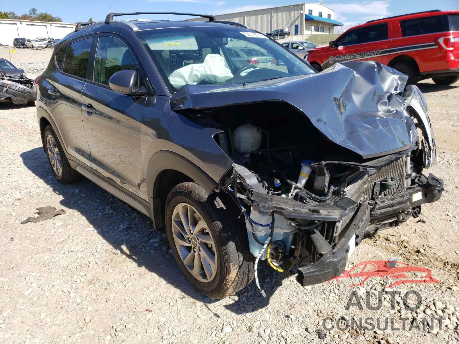 HYUNDAI TUCSON 2017 - KM8J33A46HU416245