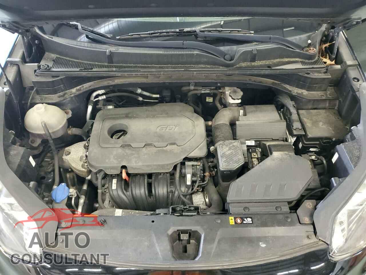 KIA SPORTAGE 2017 - KNDPMCAC7H7102783
