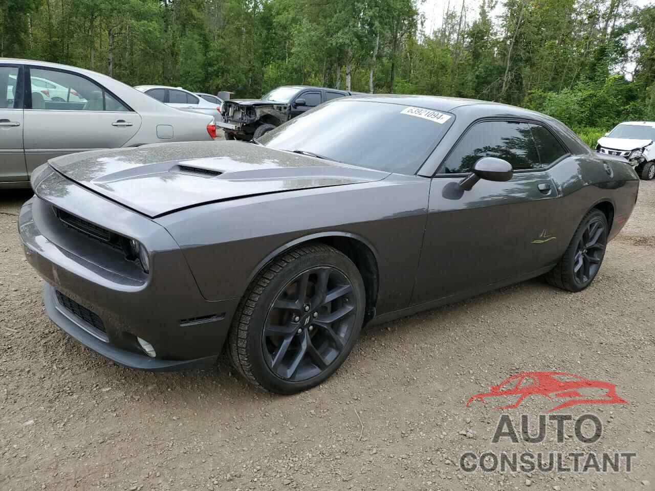 DODGE CHALLENGER 2019 - 2C3CDZAG7KH641103