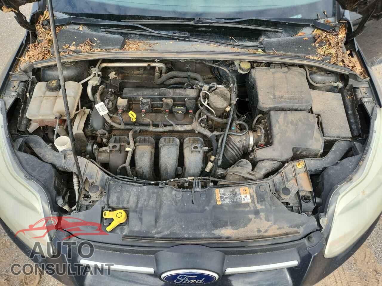 FORD FOCUS 2014 - 1FADP3F25EL369584