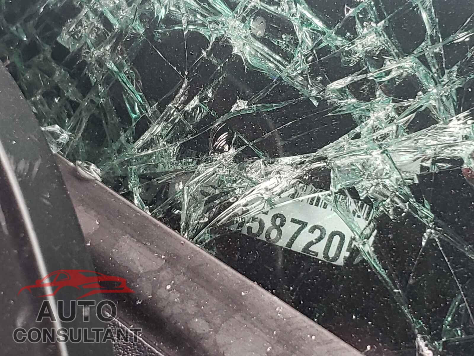 DODGE CHALLENGER 2019 - 2C3CDZAG7KH587205