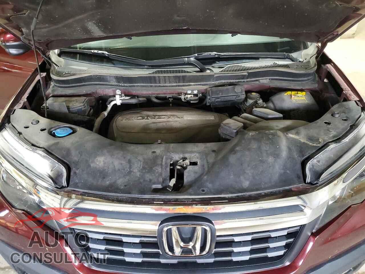 HONDA RIDGELINE 2019 - 5FPYK3F64KB018930