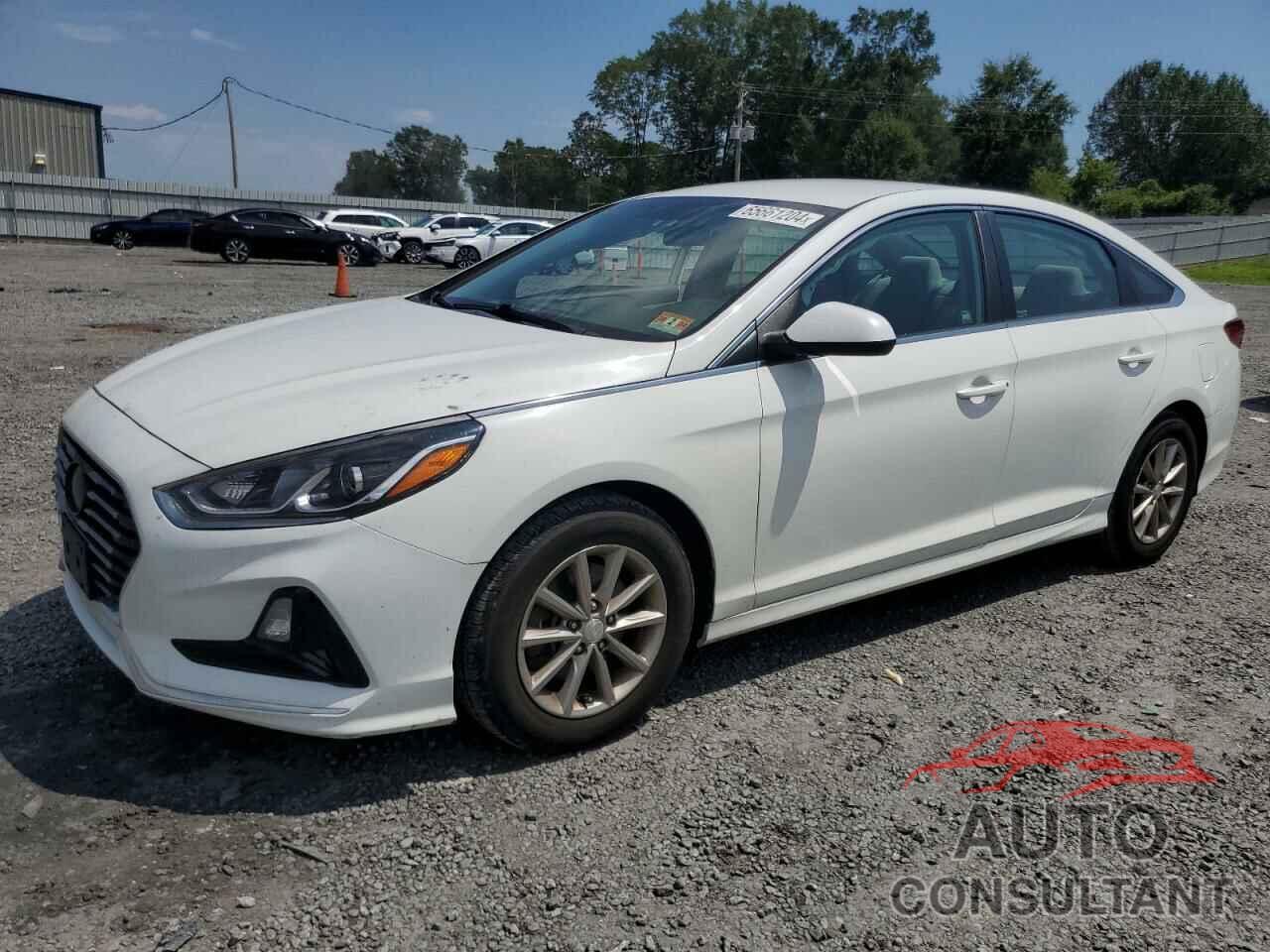 HYUNDAI SONATA 2018 - 5NPE24AF3JH696013