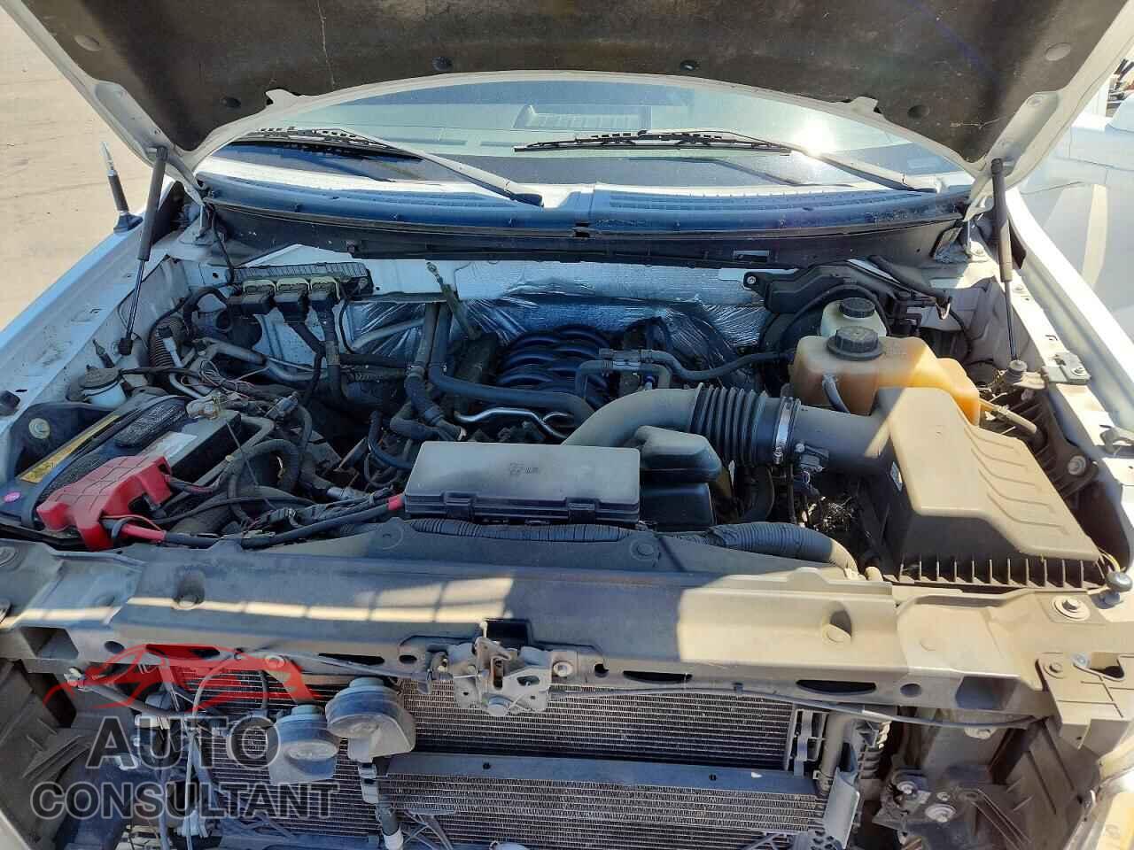 FORD F150 2013 - 1FTFX1EF4DFC20737