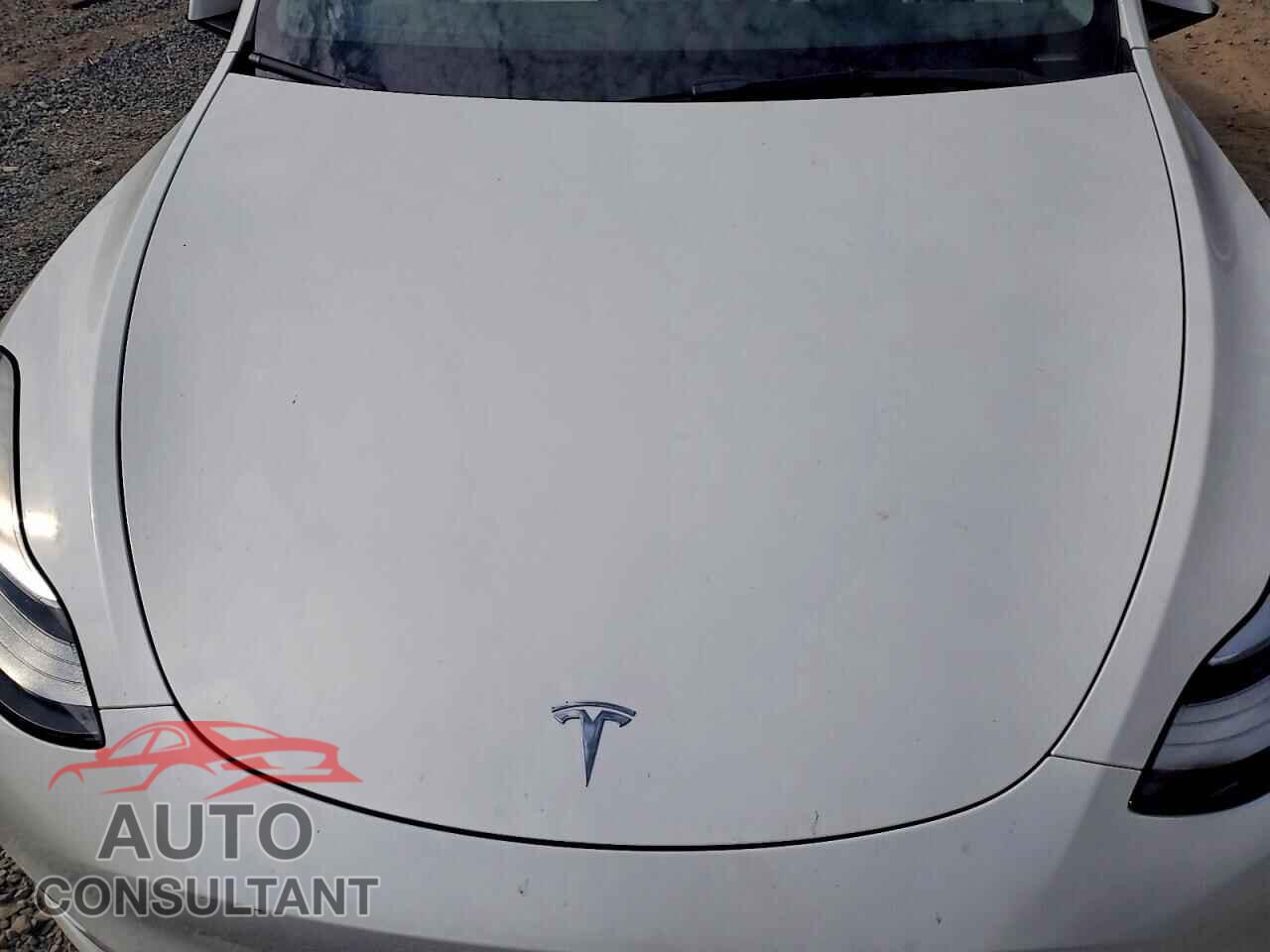 TESLA MODEL Y 2021 - 5YJYGAEE4MF211394