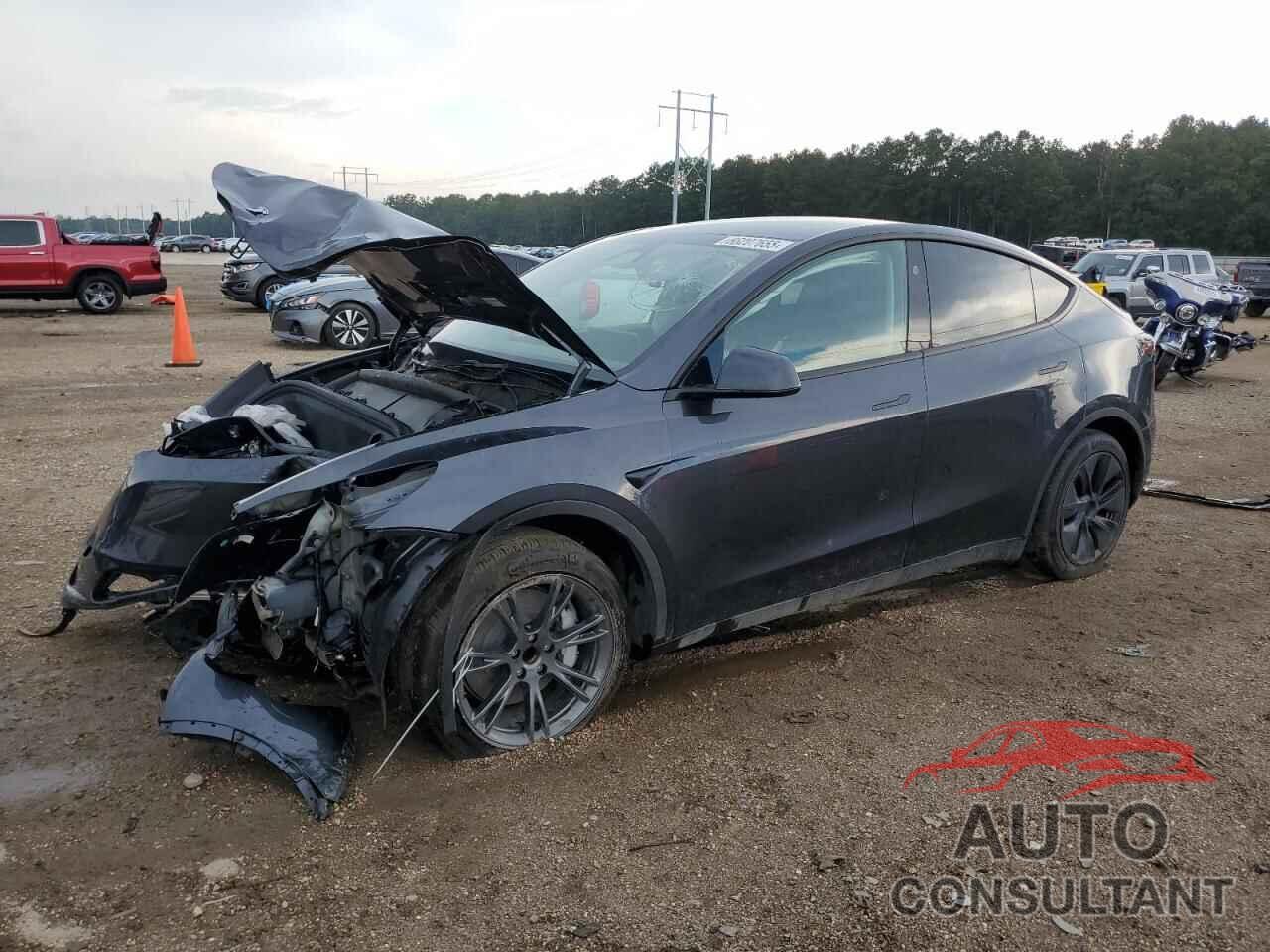 TESLA MODEL Y 2024 - 7SAYGDED4RF122556
