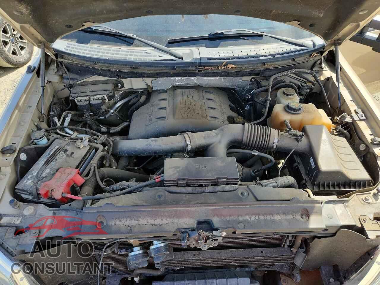 FORD F150 2012 - 1FTFX1ET1CFA88590