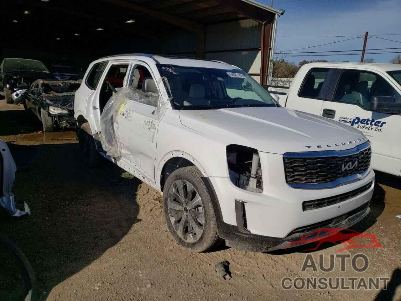 KIA TELLURIDE 2022 - 5XYP34HC1NG208305