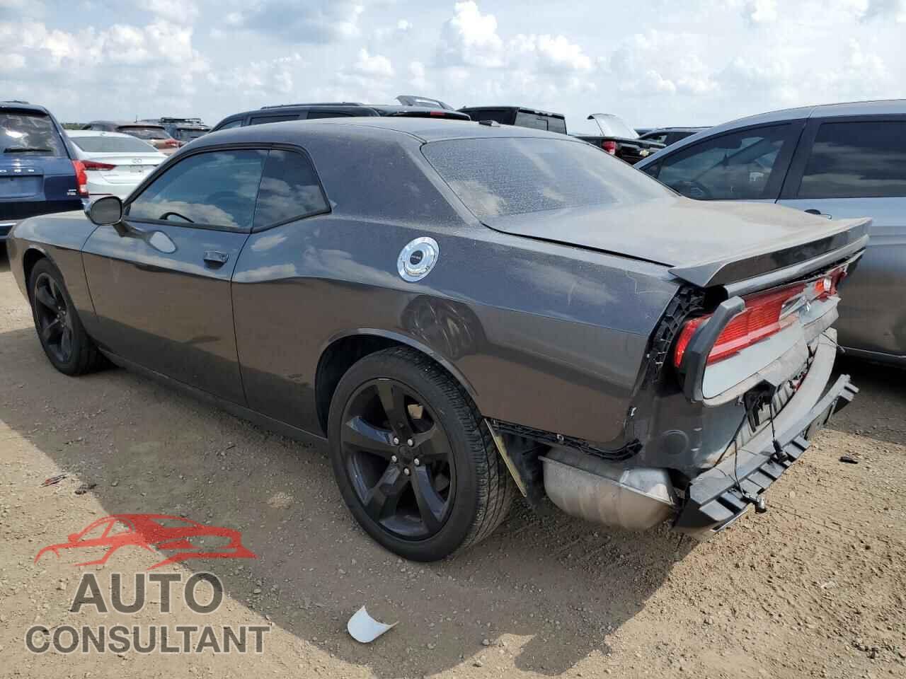 DODGE CHALLENGER 2014 - 2C3CDYAG9EH294713