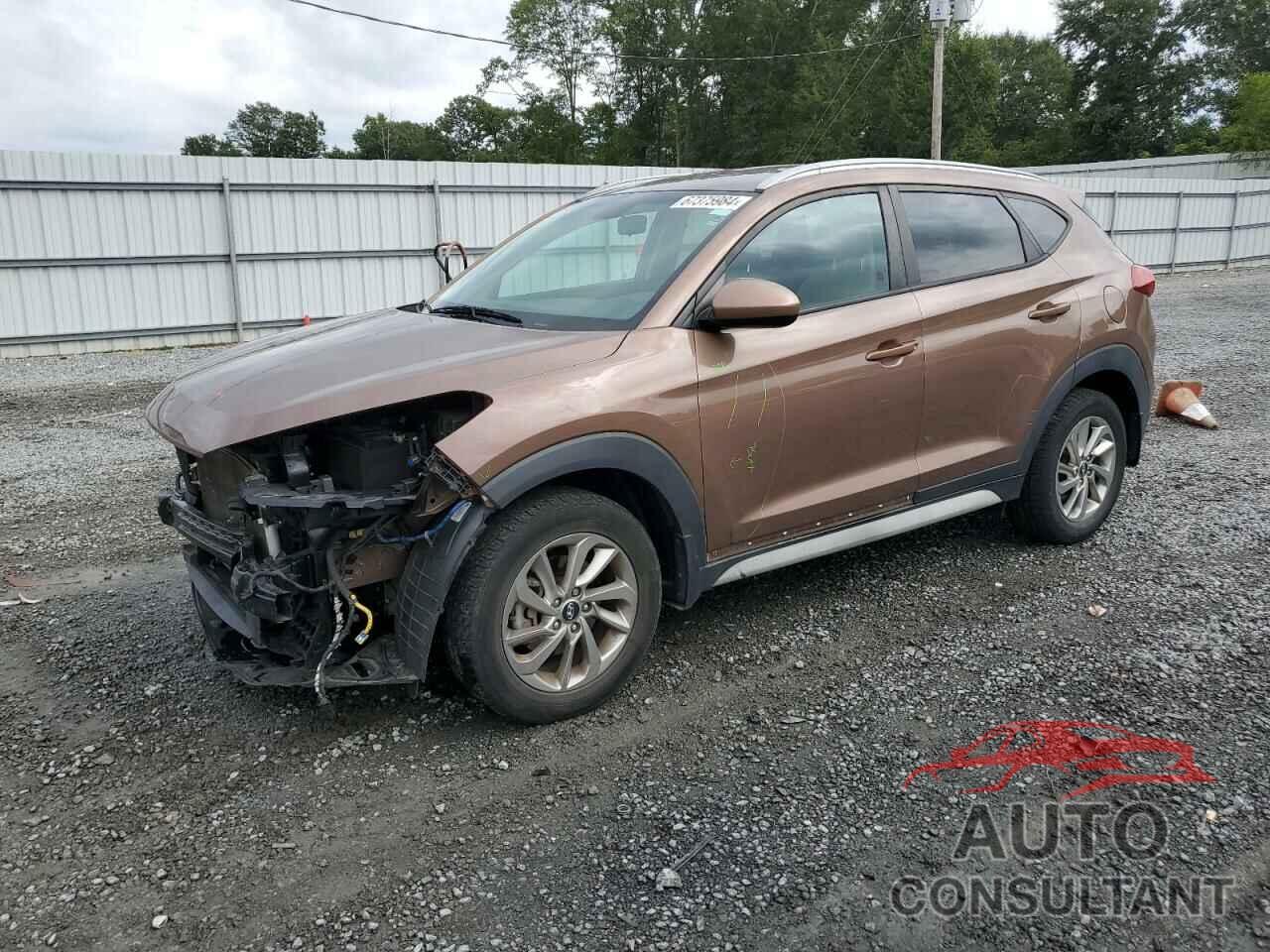 HYUNDAI TUCSON 2017 - KM8J33A45HU438169