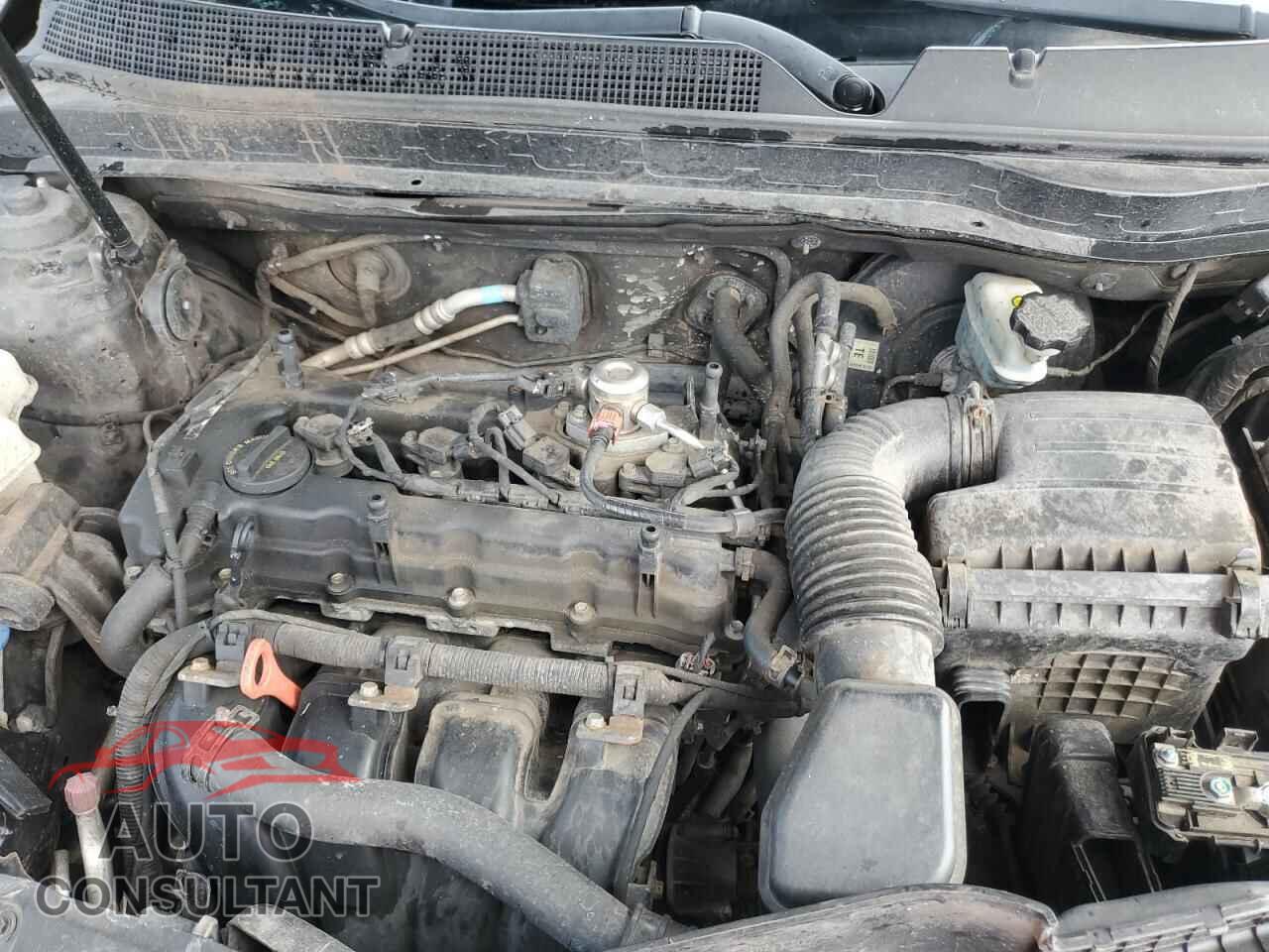 KIA OPTIMA 2011 - KNAGM4A73B5143940